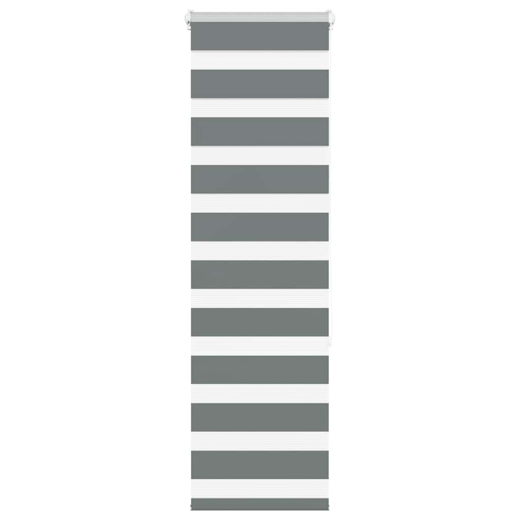 vidaXL Doppelrollo Dunkelgrau 50x150 cm Stoffbreite 45,9 cm Polyester