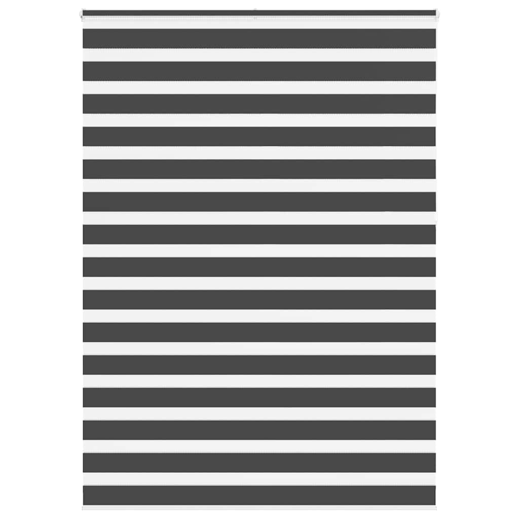 vidaXL Doppelrollo Schwarz 160x230 cm Stoffbreite 155,9 cm Polyester