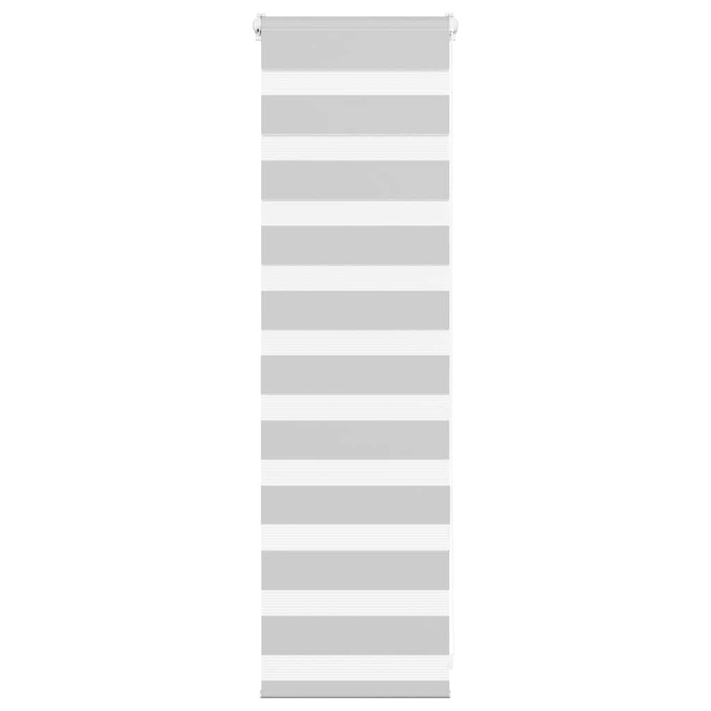 vidaXL Doppelrollo Hellgrau 50x100 cm Stoffbreite 45,9 cm Polyester