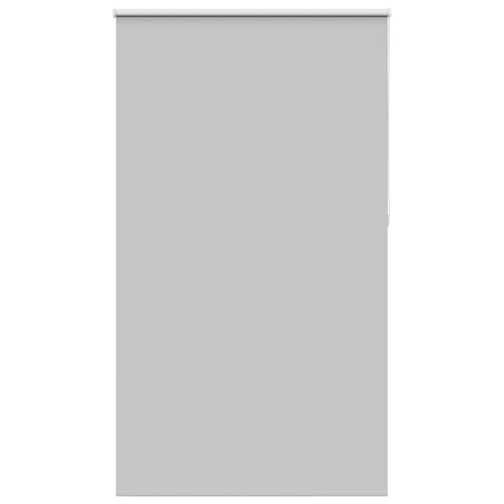 vidaXL Verdunkelungsrollo Hellgrau 120x210cm Stoffbreite 116,6cm