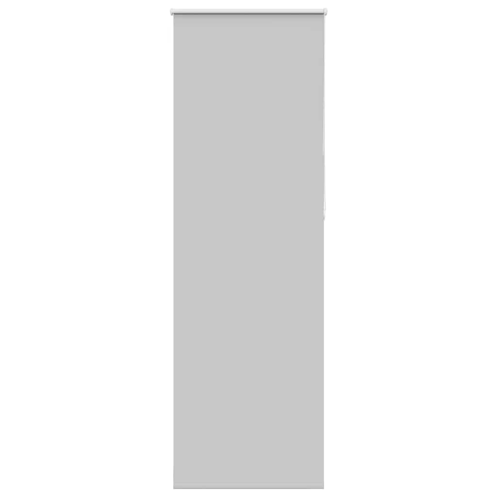 vidaXL Verdunkelungsrollo Hellgrau 65x230 cm Stoffbreite 60,7 cm