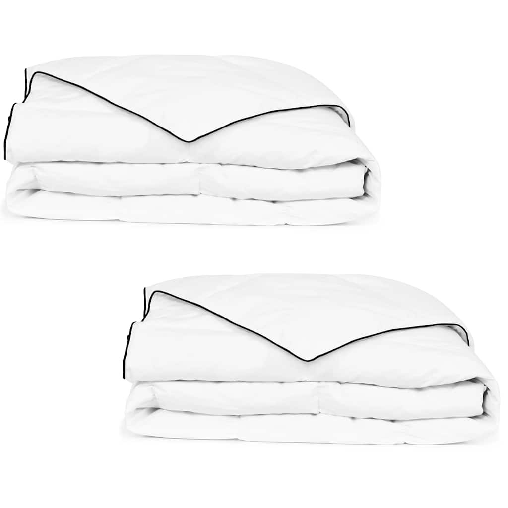 vidaXL Winter-Daunendecke 2 Stk. 150x200 cm